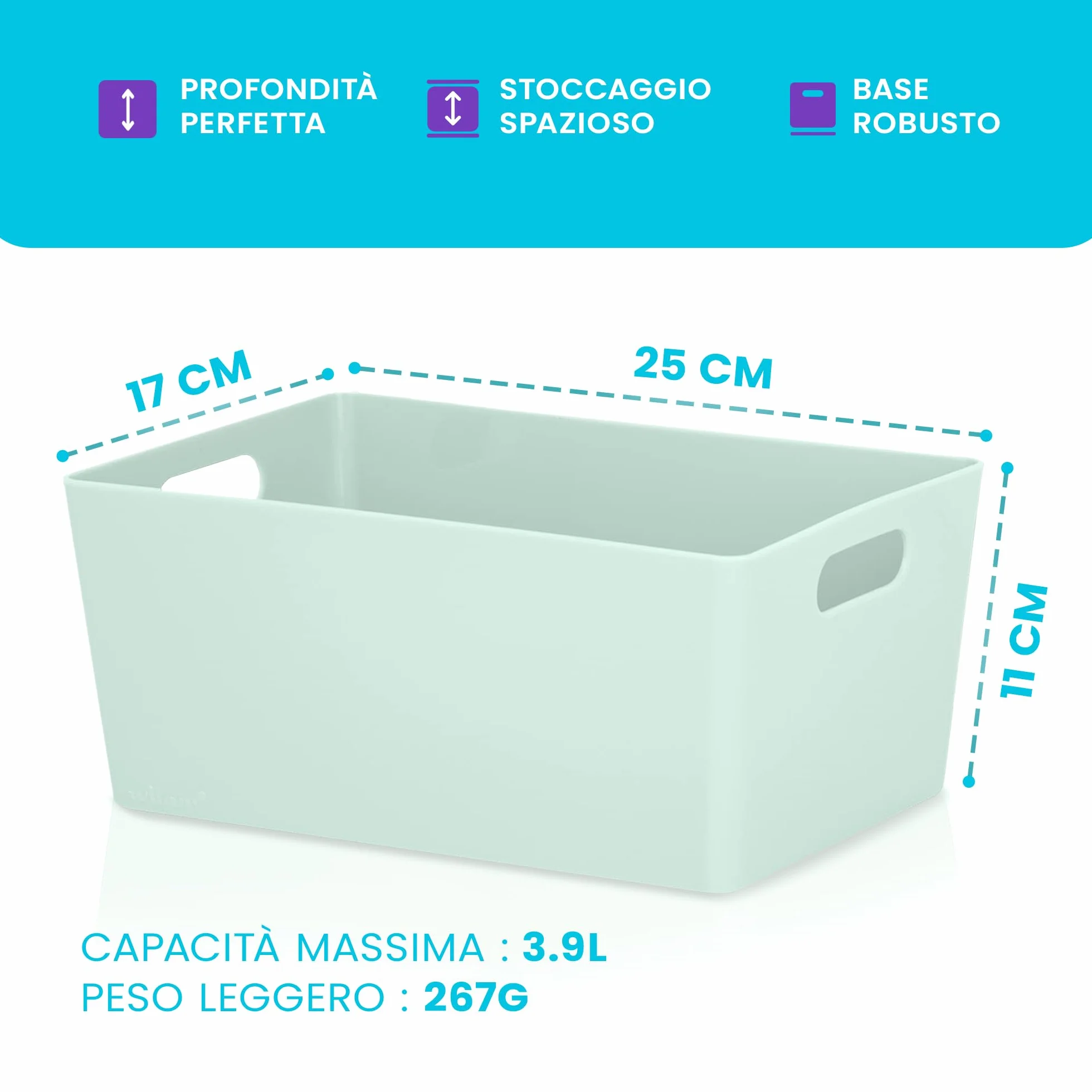 NIFTII 5 Pezzi Cestini Portaoggetti in Plastica con Manici 3,9 L Salvia Organizer per Armadio