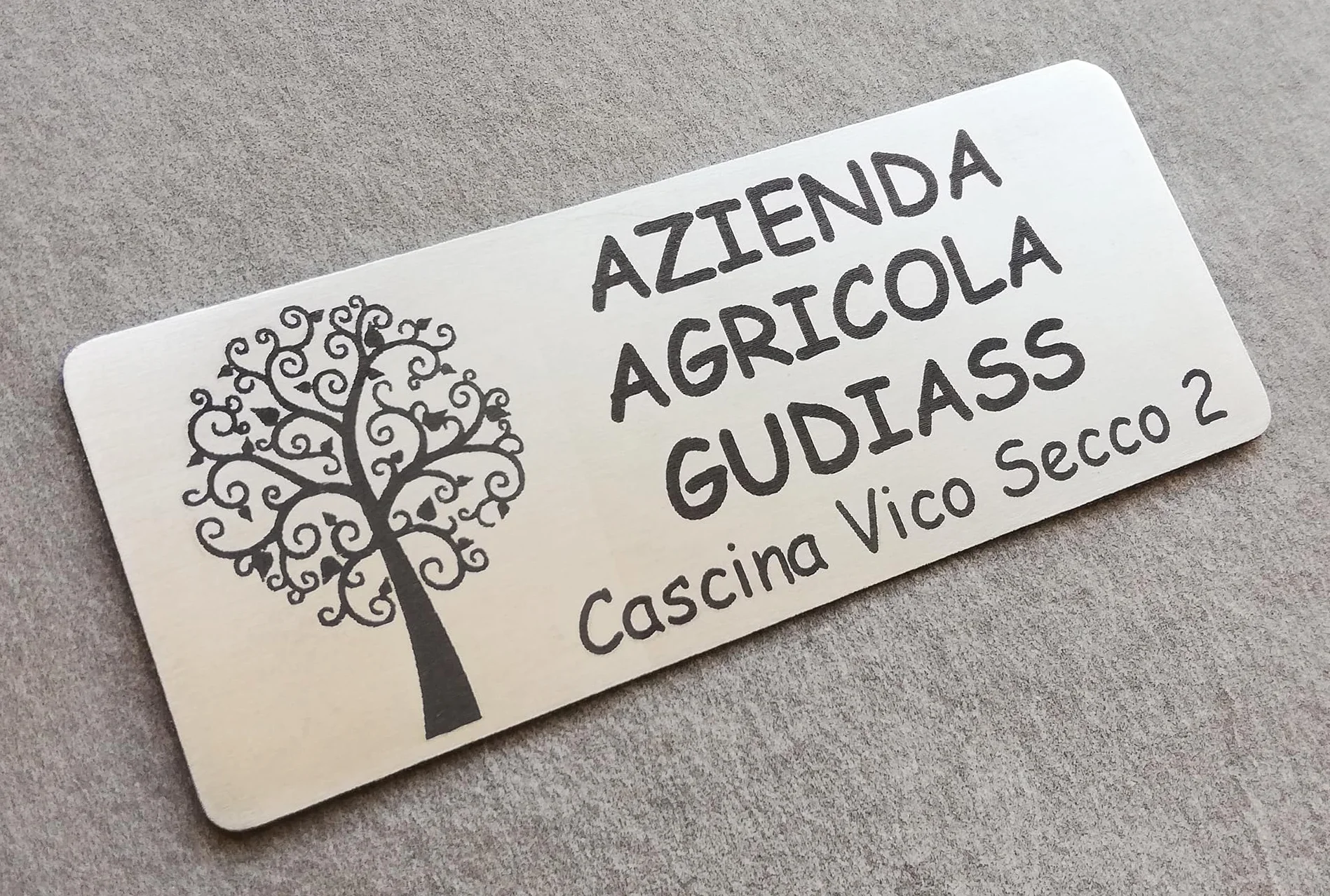 GUIZZO Creart - Targa Personalizzata con Nome, Via e/o Famiglia in Acciaio Inox, Targhetta Personalizzata Made in Italy, Targhetta Porta Ingresso Personalizzata Multiuso Modificabile, 10x4 H cm
