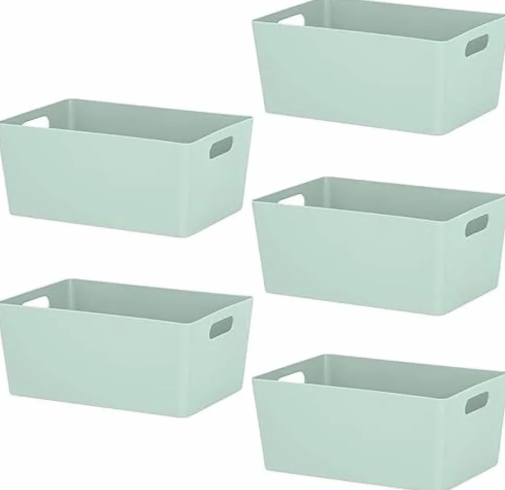 NIFTII 5 Pezzi Cestini Portaoggetti in Plastica con Manici 3,9 L Salvia Organizer per Armadio