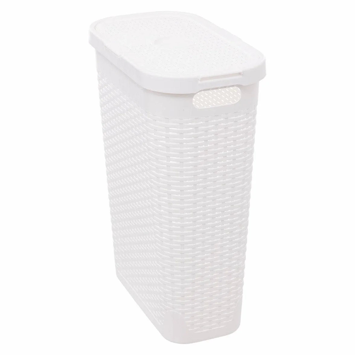 5five - Cesto portabiancheria sottile in rattan 40L grigio bianco - Fori di ventilazione - Coperchio - Maniglie ergonomiche per un facile trasporto - Cesto portaoggetti in plastica