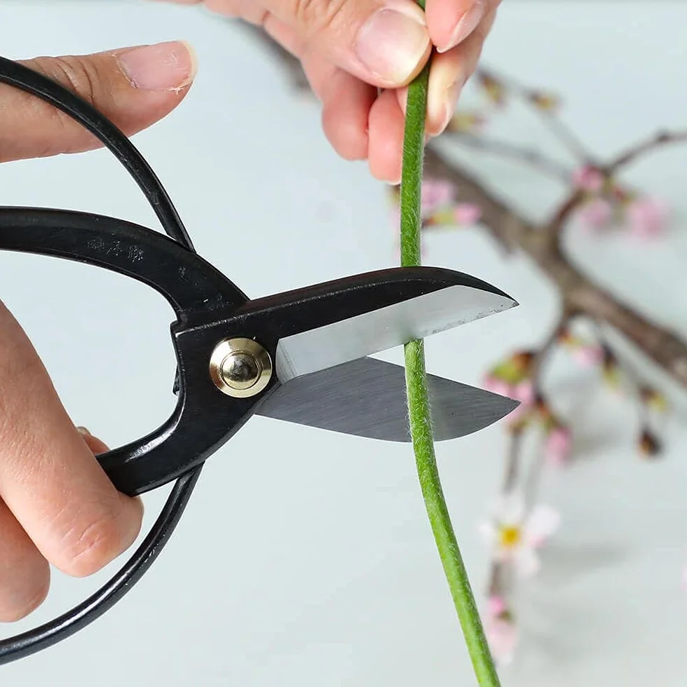Wazakura Forbici Koryu in Acciaio al Carbonio 170 mm Professionale Ikebana Floral Tool, Kado Hasami Fiore Giapponese Disporre Cesoie Realizzate in Giappone - Koryu Acciaio al Carbonio (nero)