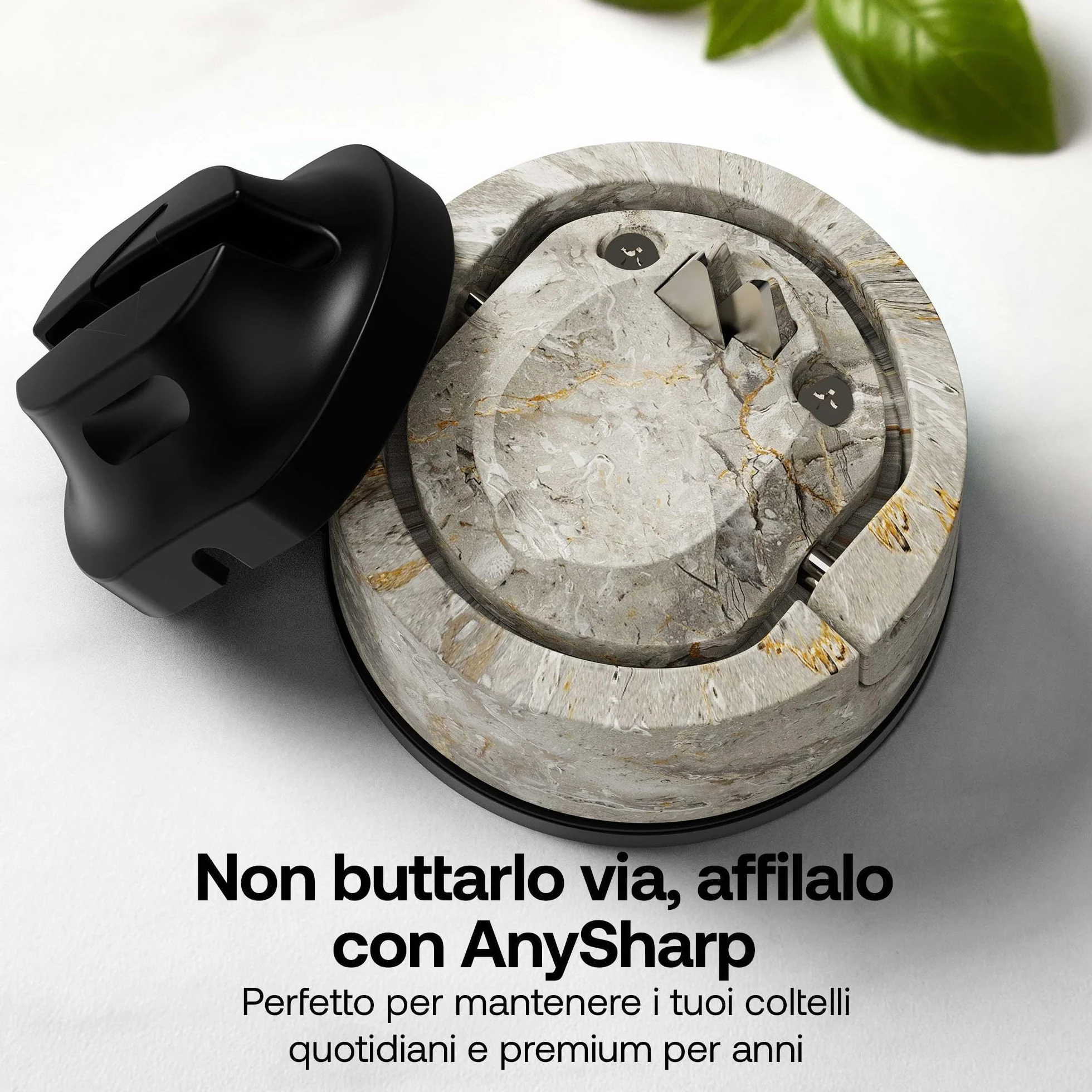 AnySharp Evo Affilacoltelli PowerGrip Suzione Acciaio Temperato Dentati