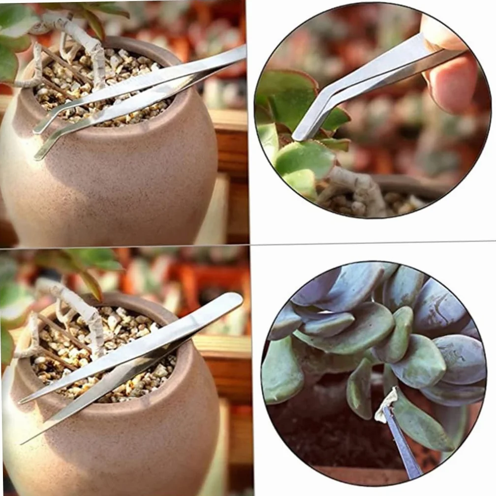 Set di strumenti da giardino da 14 pezzi per trapianto manuale di cactus