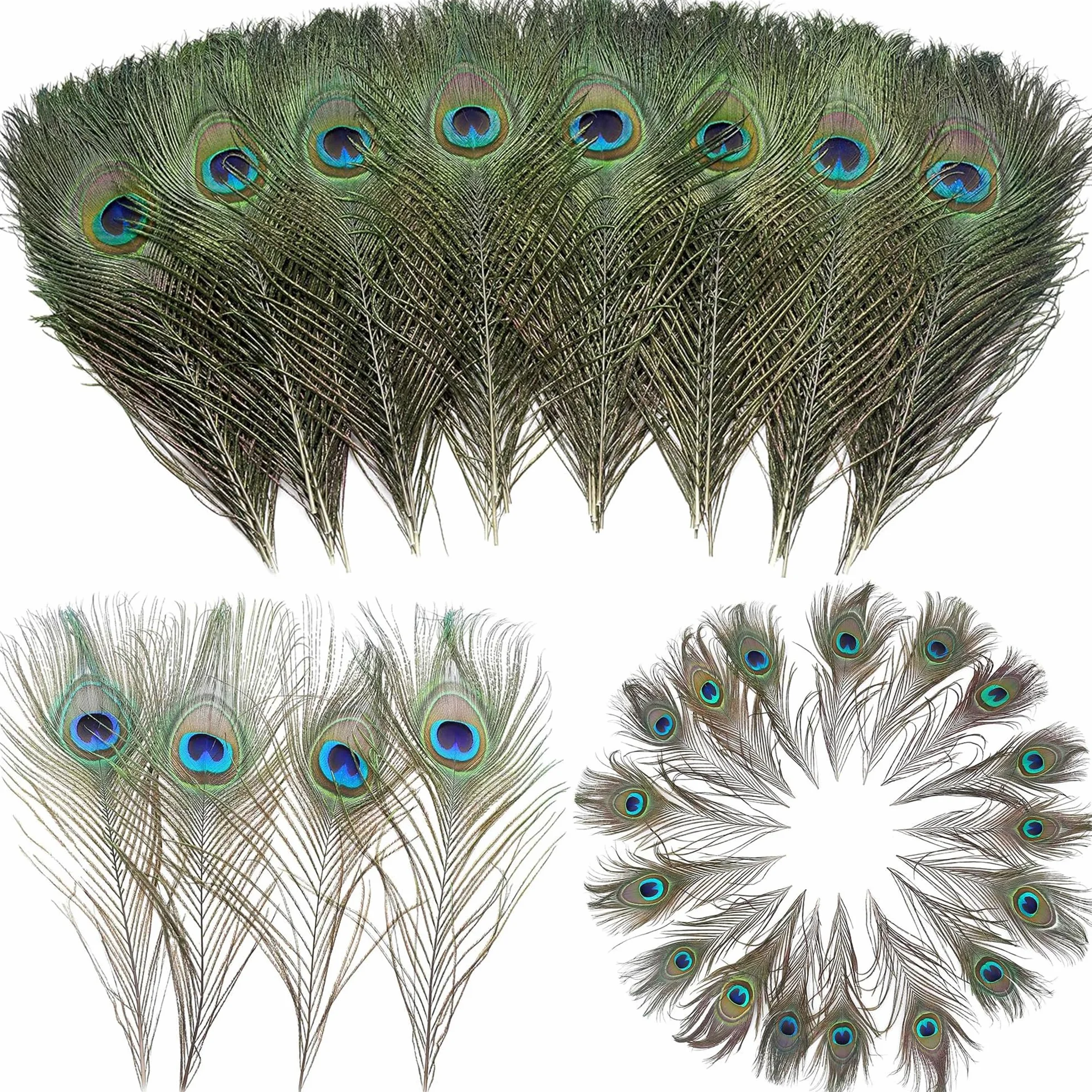 Piume di Pavone Naturali 25-30 cm per Decorazioni Fai da Te Orecchini Matrimoni Acchiappasogni