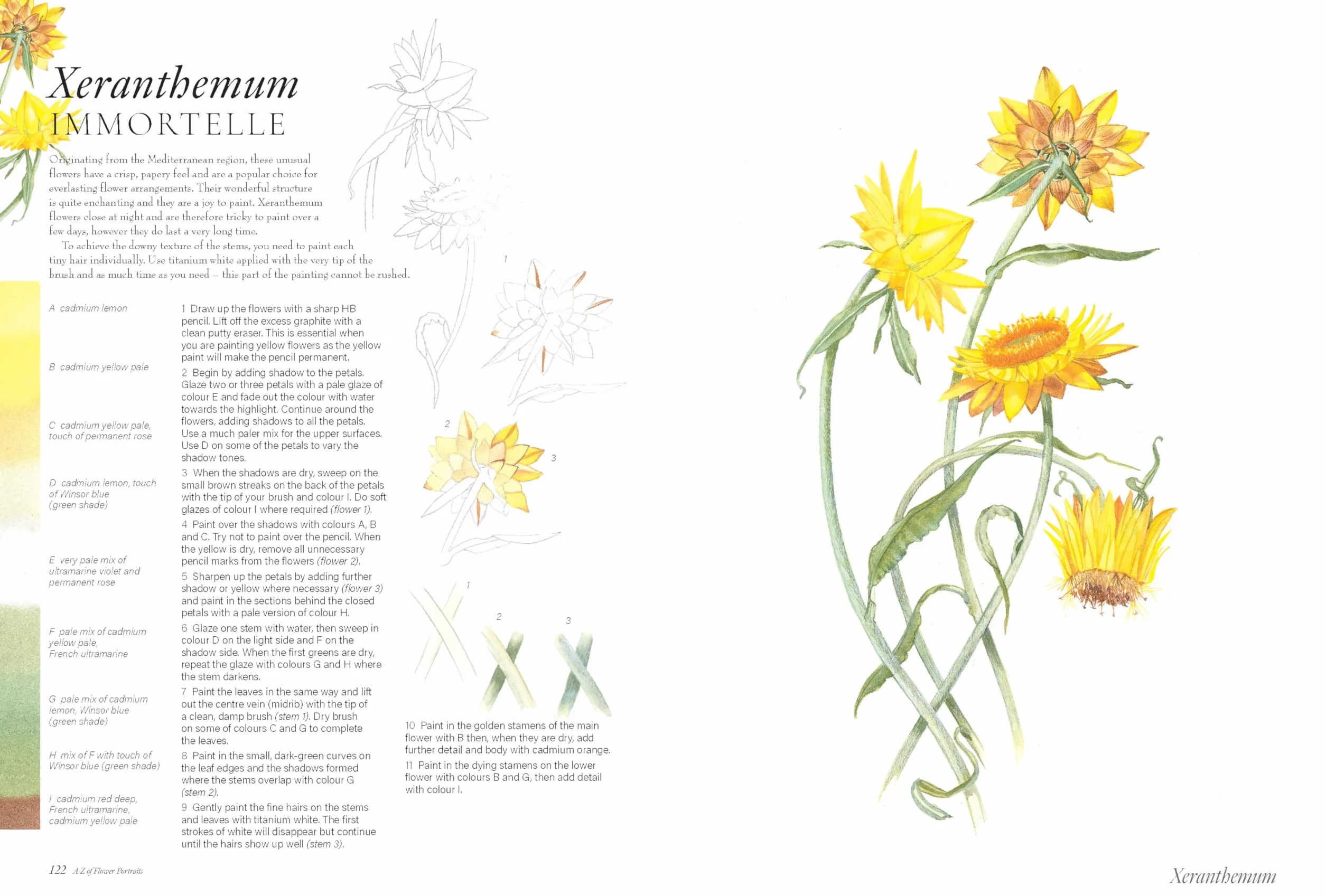 A-Z of Flower Portraits: An Illustrated Guide to Painting 40 Beautiful Flowers in Watercolour