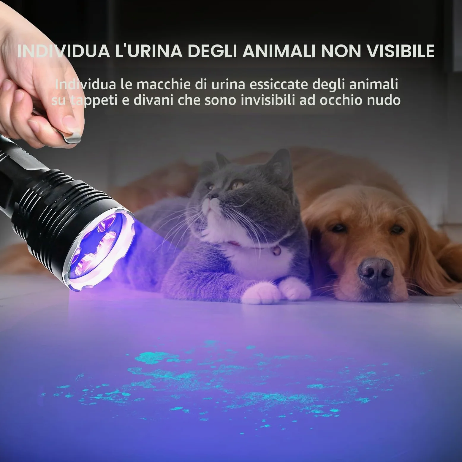 UltraFire Torcia UV 395nm, Luce Ultravioletta ad Alta Potenza da 50W, Lampada UV Portatile a Lungo Raggio per Ricerca di Ambra, Rocce, Caccia agli Scorpioni, Indurimento Resina, Rilevamento Perdite