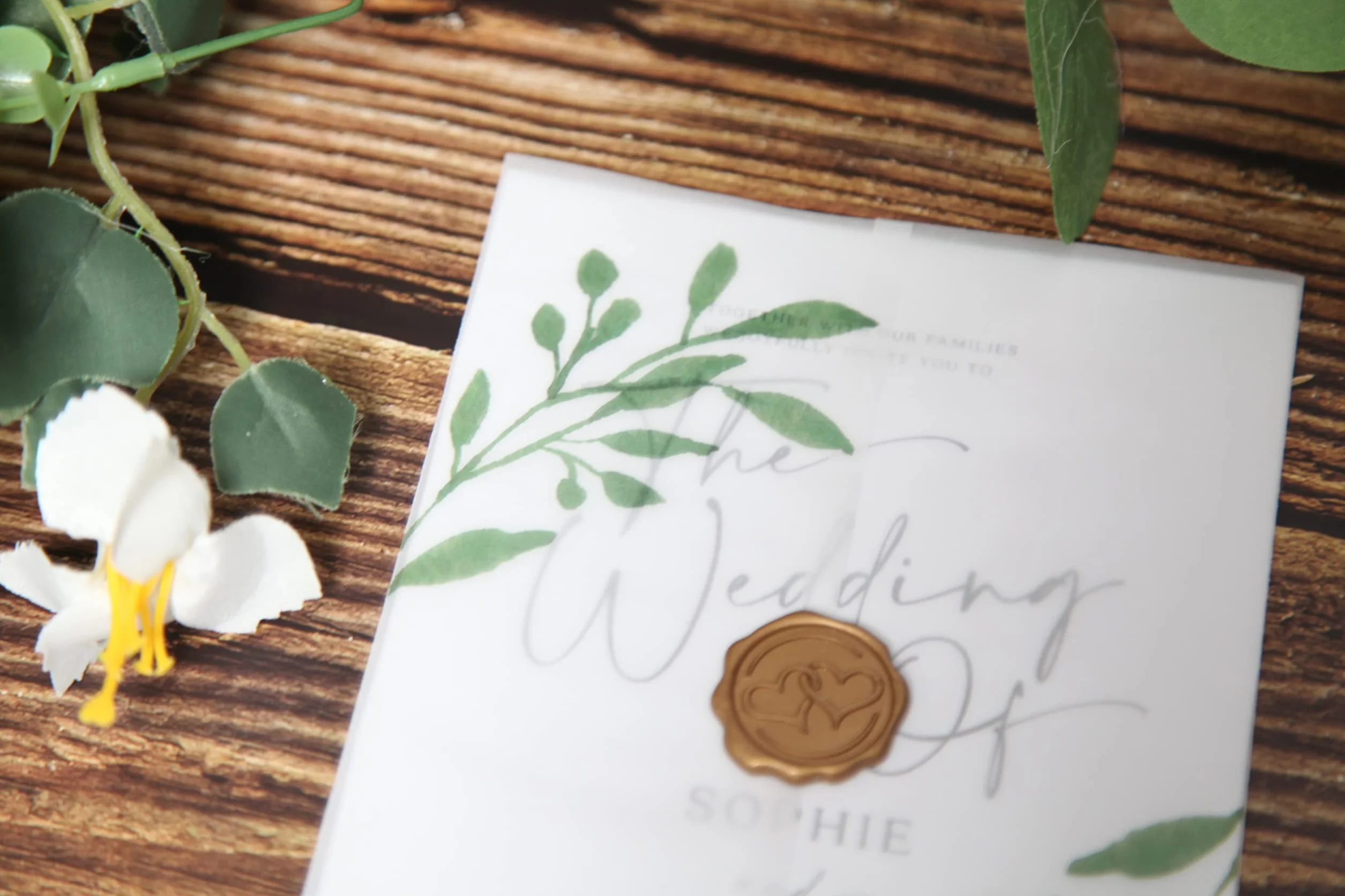 Puremigo Confezione da 50 giacche in pergamena pre-piegate con stampa verde eucalipto per inviti da 12,7 x 17,8 cm, carta pergamena da 105 g/m², giacche da 12,7 x 17,8 cm, buste per inviti di nozze in