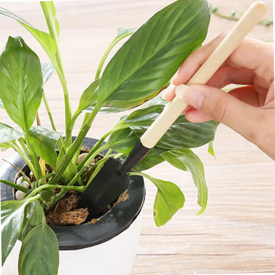 Set di strumenti da giardino da 14 pezzi per trapianto manuale di cactus