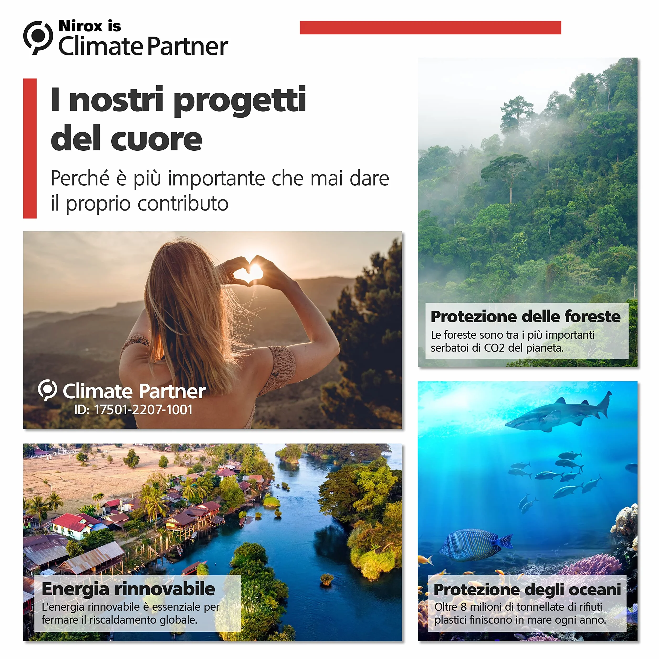 Nirox Set di 4 Morsetti a molla - Morsettiere con ampia apertura - Elevata forza di serraggio della pinza a molla - Morse da falegname con ganascia mobile - Morsetti a tensione