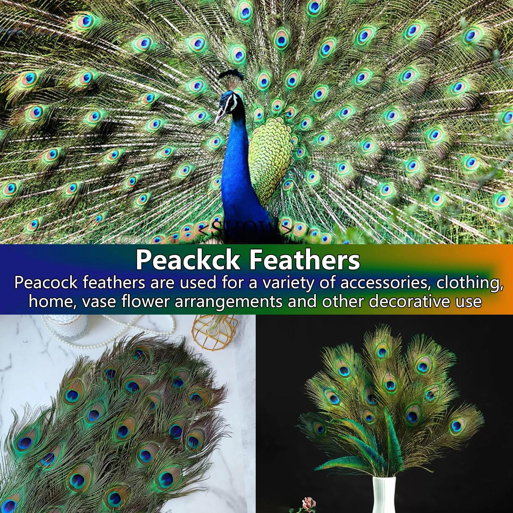 Piume di Pavone Naturali 25-30 cm per Decorazioni Fai da Te Orecchini Matrimoni Acchiappasogni