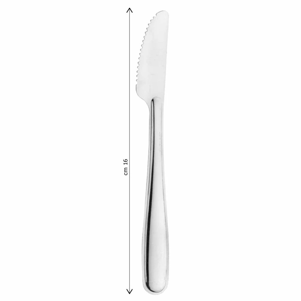 Pintinox USE&REUSE 50 coltelli acciaio inox nichel free, lavabili in lavastoviglie