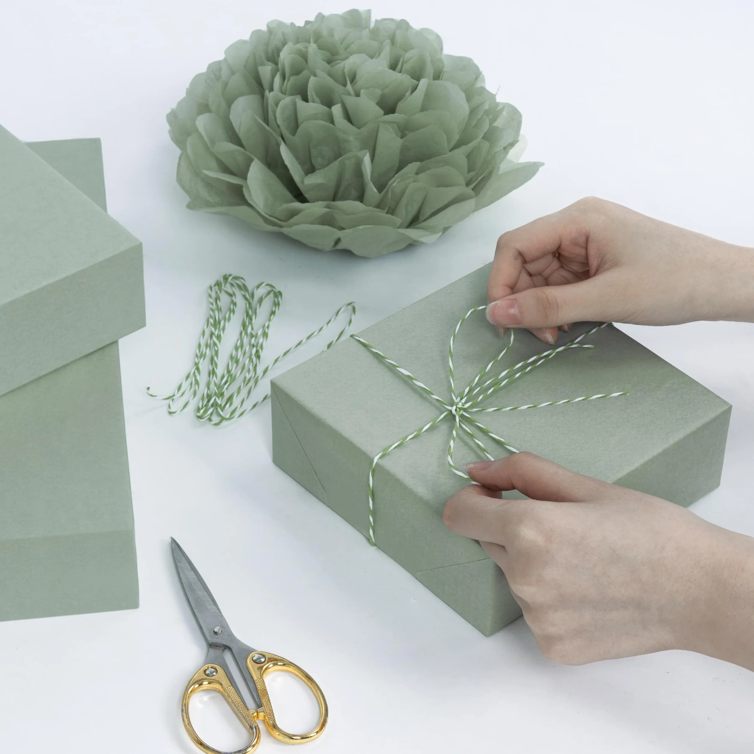 Larcenciel Carta Velina Verde Salvia, 60 Fogli di Carta Velina per Imballaggio e Sacchetti Regalo, Confezioni Regalo Verde Matcha per Compleanni, Matrimoni, Anniversari, Natale, DIY, 50 x 35 cm