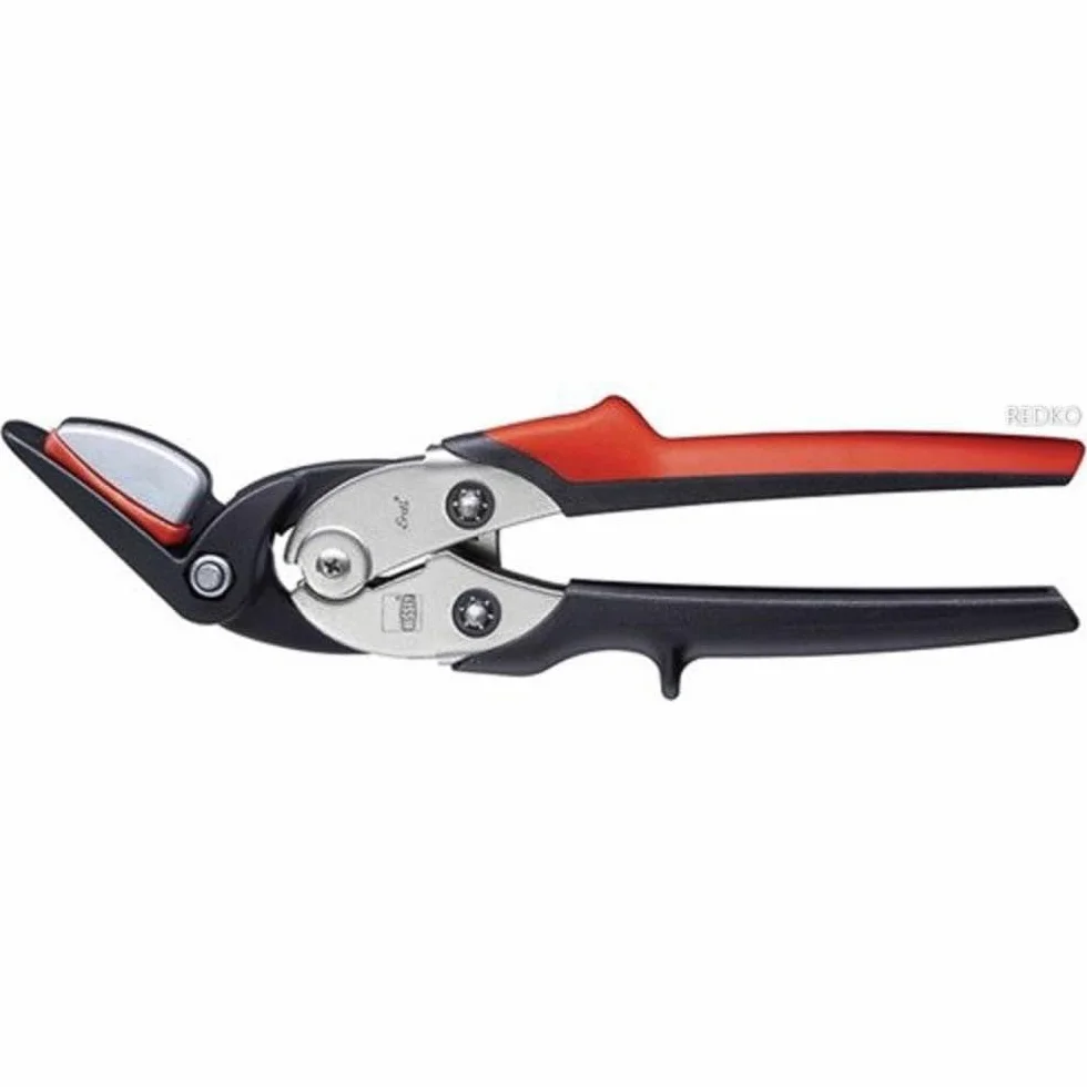 Bessey Erdi D123S Cesoie per Reggetta
