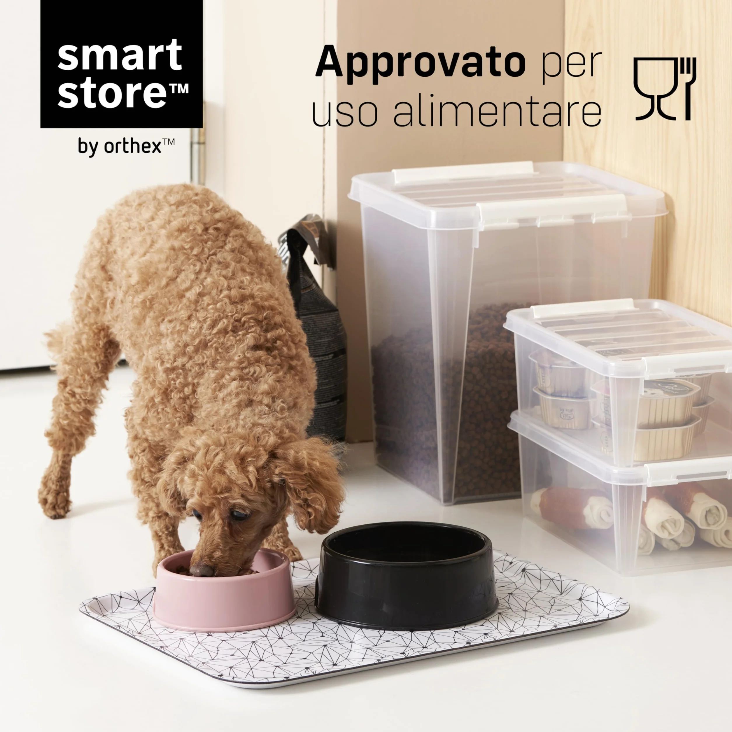 SmartStore Mini Scatole Portaoggetti 0,3L Set da 10 Impilabili Senza BPA Sicure per alimenti