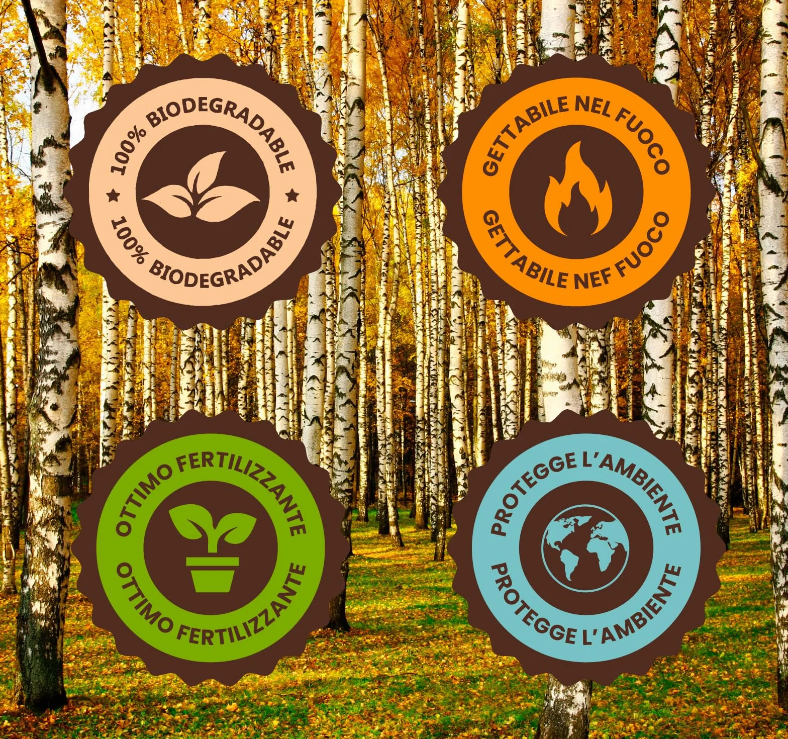 Palette Caffè Monouso in Legno di Betulla, Biodegradabili e Compostabili, Resistenti al Calore - Made in Italy