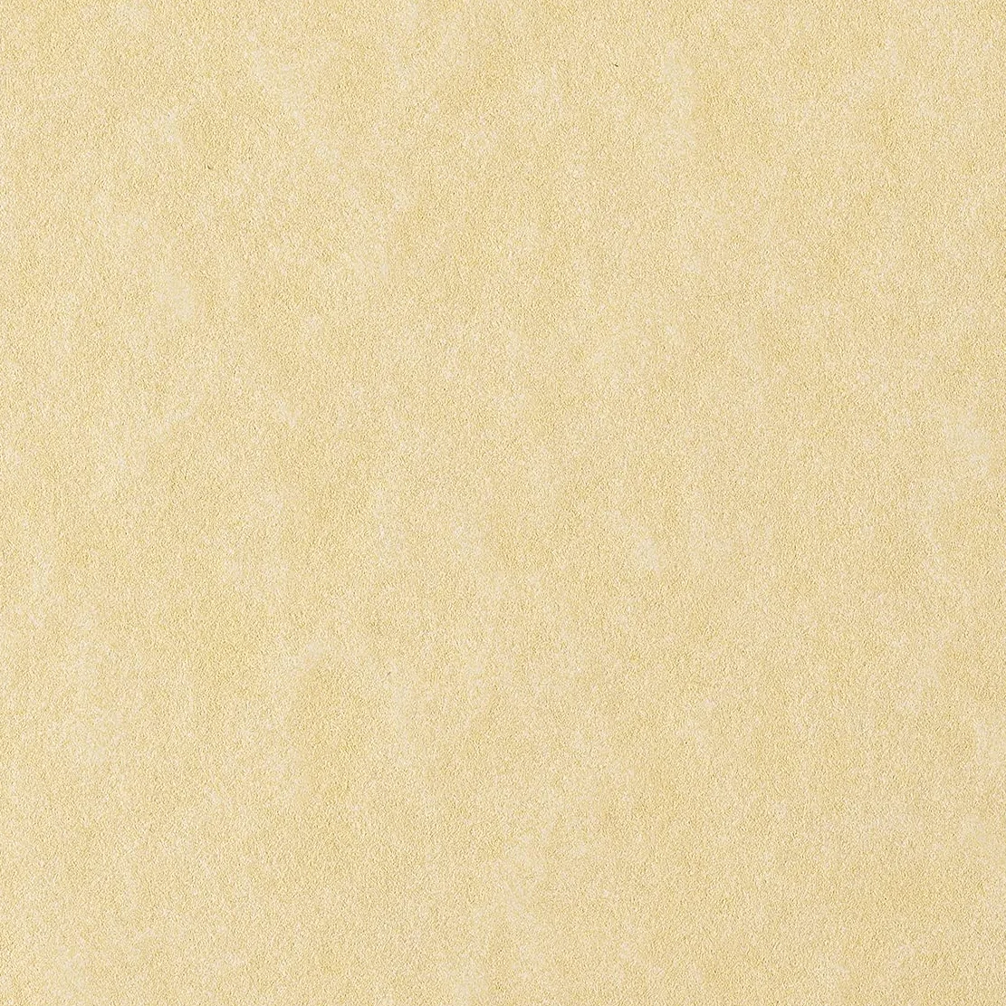Favini 867197 Pergamena Liscio, 50 Pezzi