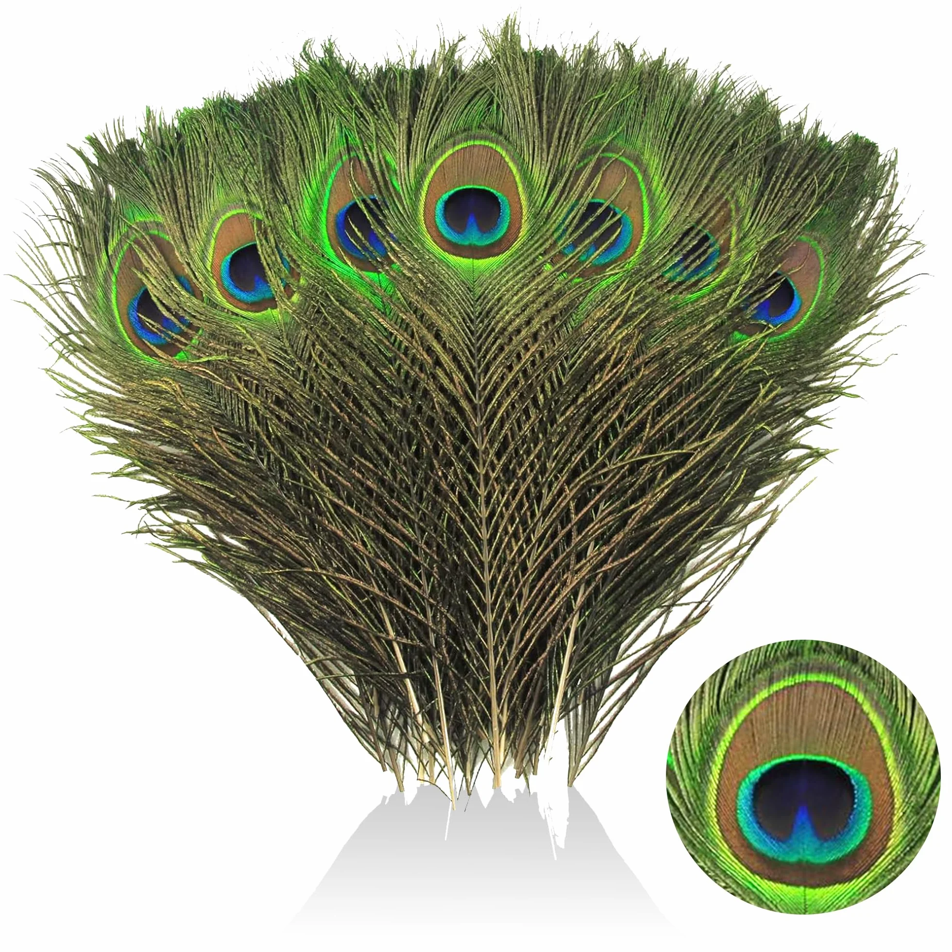 Piume di Pavone Naturali 25-30 cm per Decorazioni Fai da Te Orecchini Matrimoni Acchiappasogni