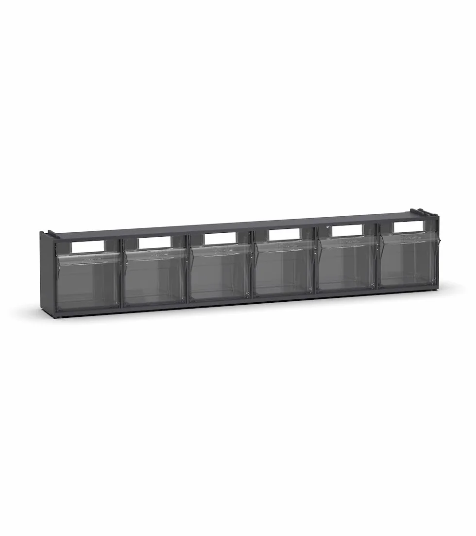 Fami - Cassettiera Porta Minuteria da Muro, Scaffali e Carrelli per Garage, Officina e Magazzini, 6 Cassetti Trasparenti Visual Box, Pannello Porta Viti e Bulloni, Dimensioni: 60 x 9,6 x 11,2 cm