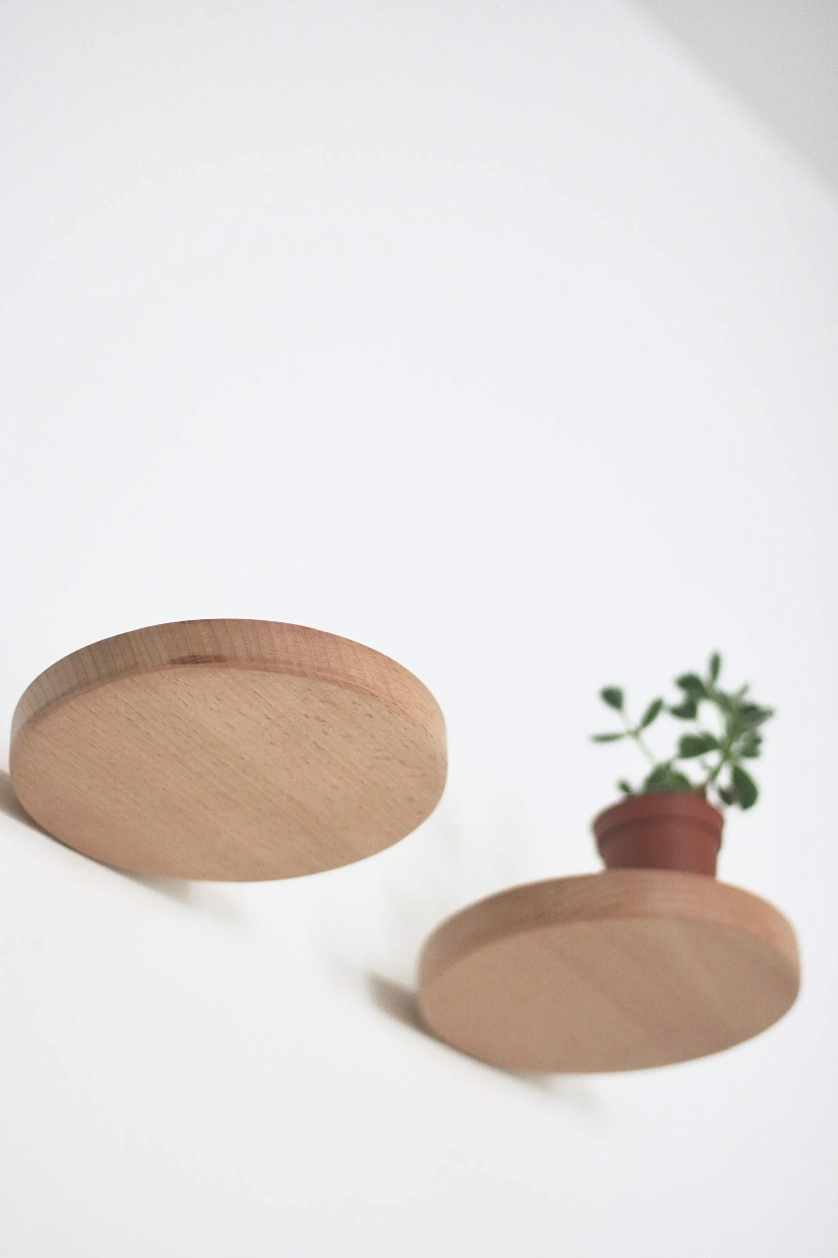 Coracle - Scaffali da Parete Rotondi galleggianti, Decorazione per Pannelli di Legno, per Foto, Piante, Candela, Esposizione, Design Moderno, Confezione da 2 (Diametro Ø15 cm)