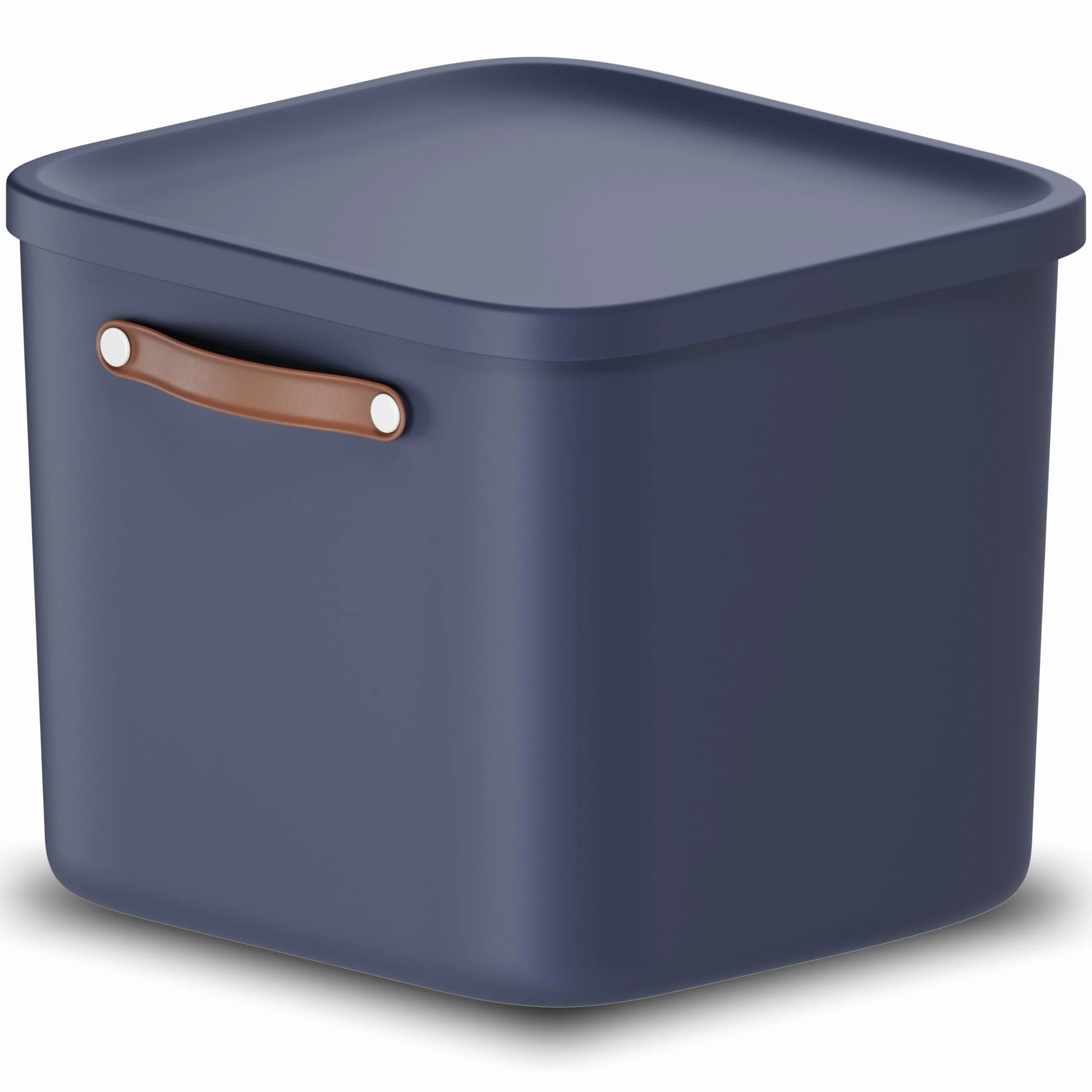 Rotho Maloja Scatola di stoccaggio 40 l, Plastica (PP riciclato), 40 (39.5 x 38.0 x 34.0 cm)
