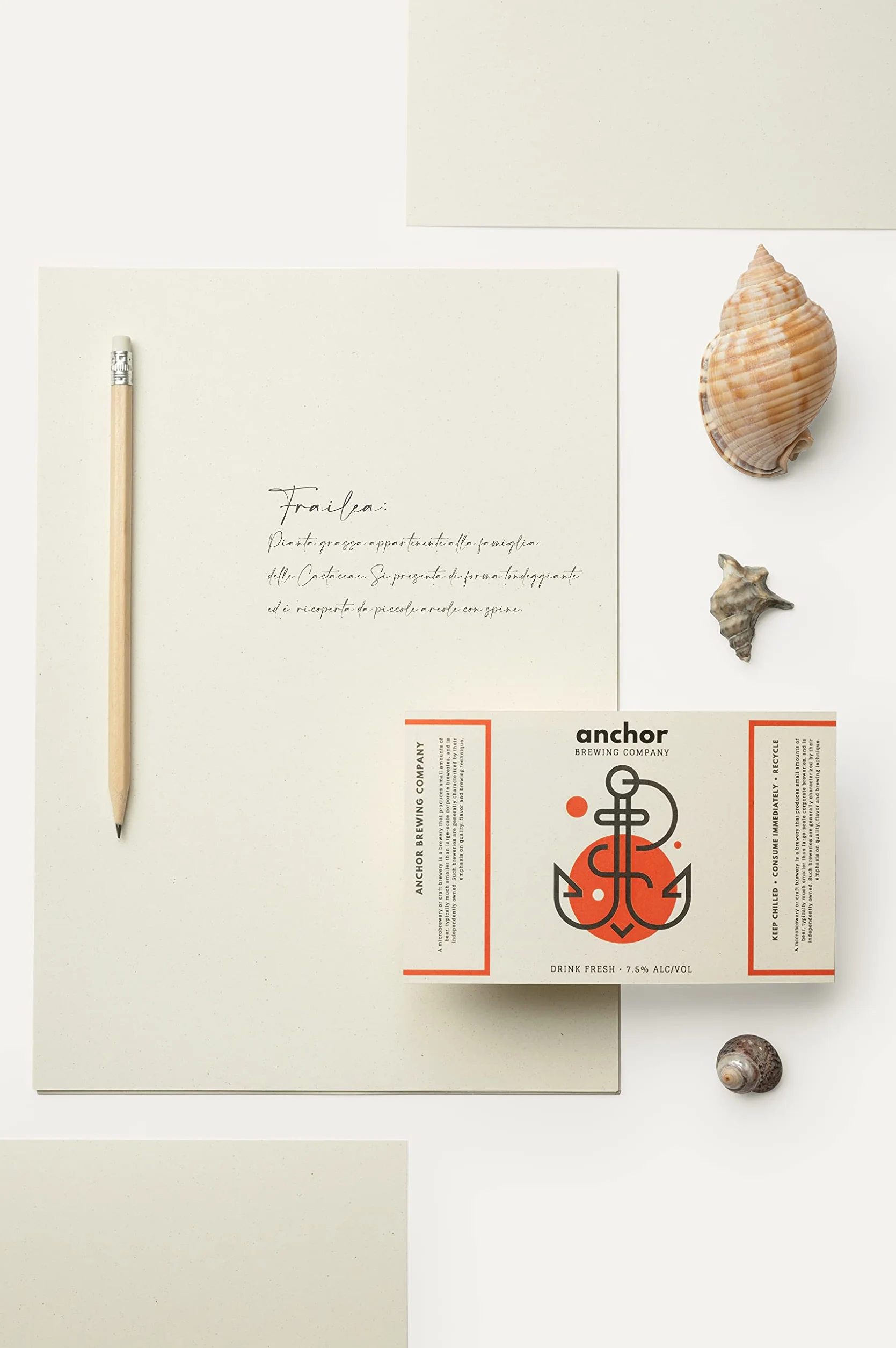 Favini A69Q244 Calligraphy Nature Alga Avorio 90 g/m² A4 21x29,7 cm 50 fogli