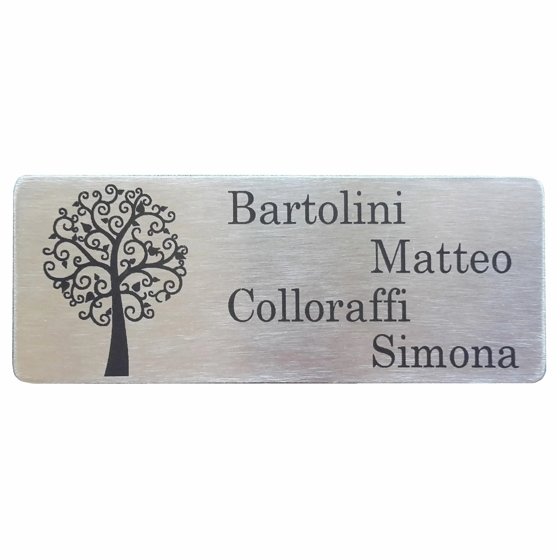 GUIZZO Creart - Targa Personalizzata con Nome, Via e/o Famiglia in Acciaio Inox, Targhetta Personalizzata Made in Italy, Targhetta Porta Ingresso Personalizzata Multiuso Modificabile, 10x4 H cm