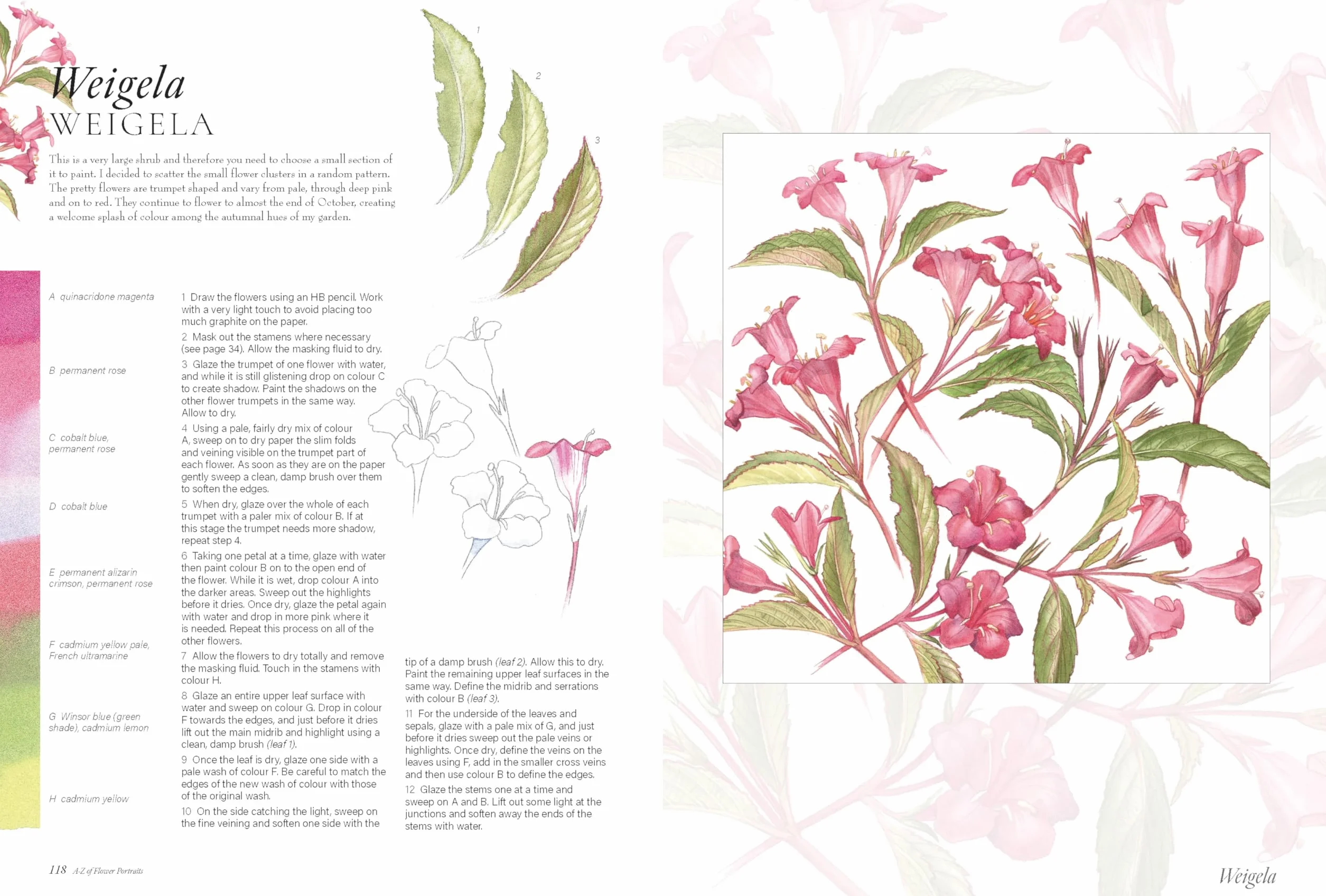 A-Z of Flower Portraits: An Illustrated Guide to Painting 40 Beautiful Flowers in Watercolour